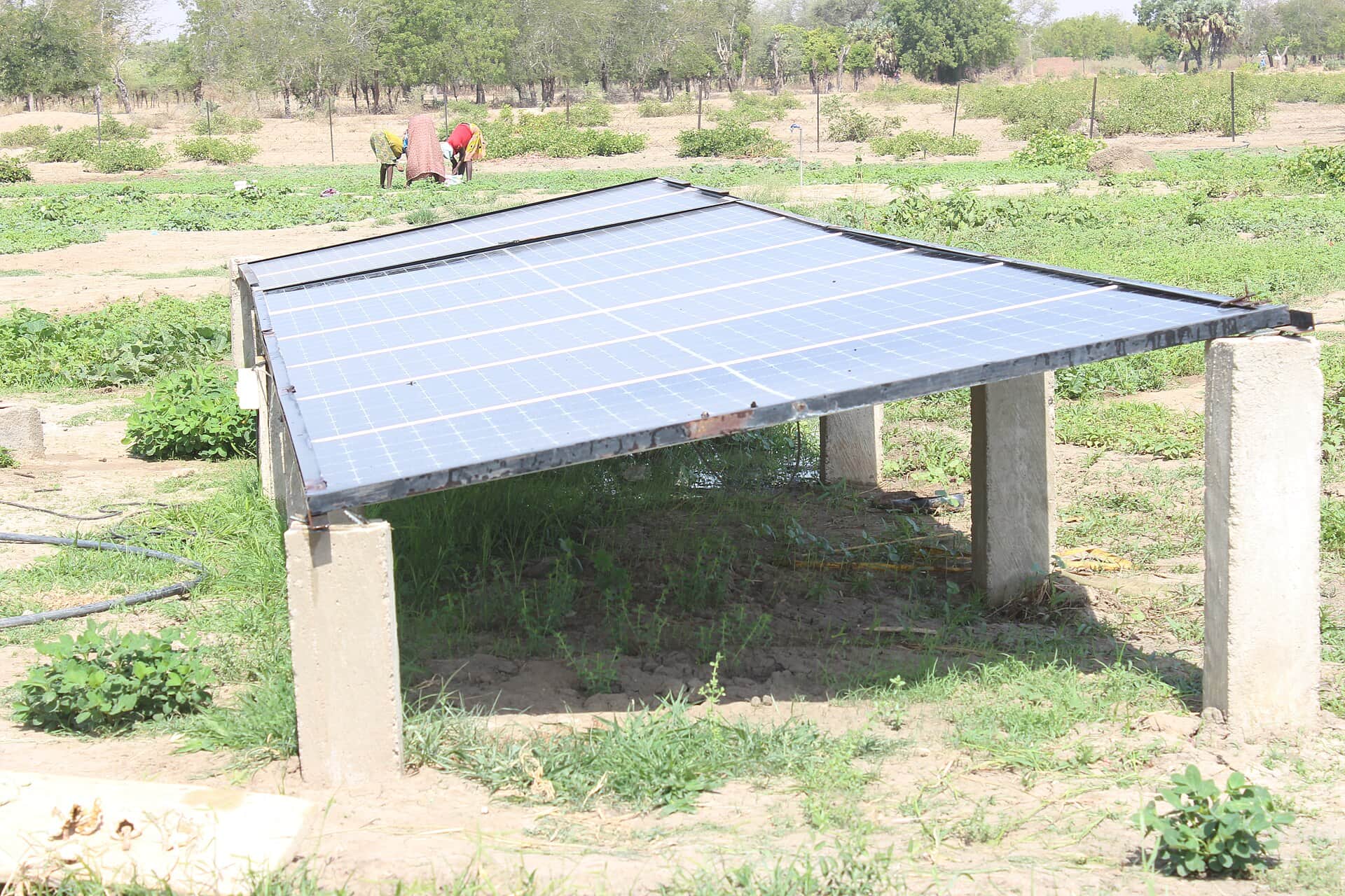 Solar irrigation, Far North Region, Cameroon